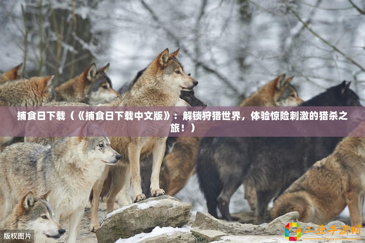 捕食日下載（《捕食日下載中文版》：解鎖狩獵世界，體驗驚險刺激的獵殺之旅?。?/>			</a>
		</figure>
		<div   id=