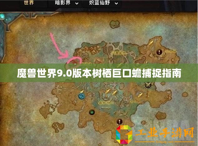 魔獸世界9.0版本樹棲巨口蟾捕捉指南