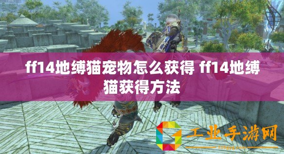 ff14地縛貓寵物怎么獲得 ff14地縛貓獲得方法