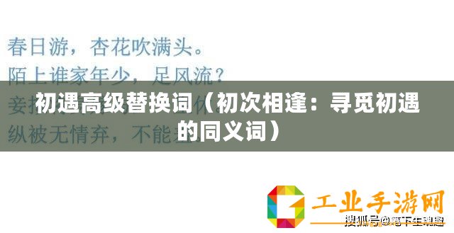 初遇高級(jí)替換詞（初次相逢：尋覓初遇的同義詞）
