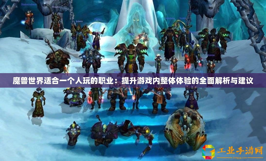 魔獸世界適合一個(gè)人玩的職業(yè)：提升游戲內(nèi)整體體驗(yàn)的全面解析與建議