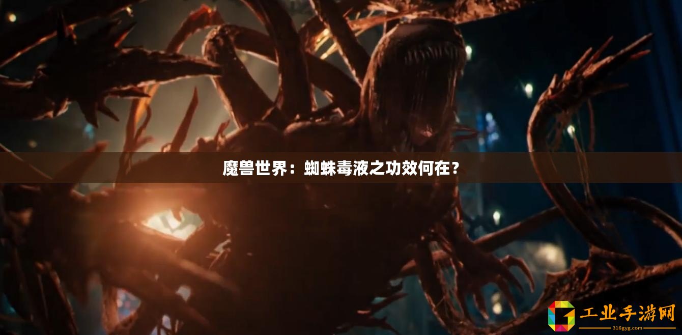 魔獸世界：蜘蛛毒液之功效何在？