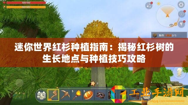 迷你世界紅杉種植指南：揭秘紅杉樹(shù)的生長(zhǎng)地點(diǎn)與種植技巧攻略