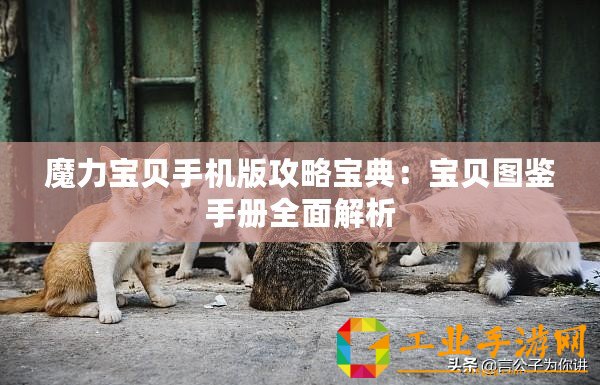 魔力寶貝手機版攻略寶典：寶貝圖鑒手冊全面解析
