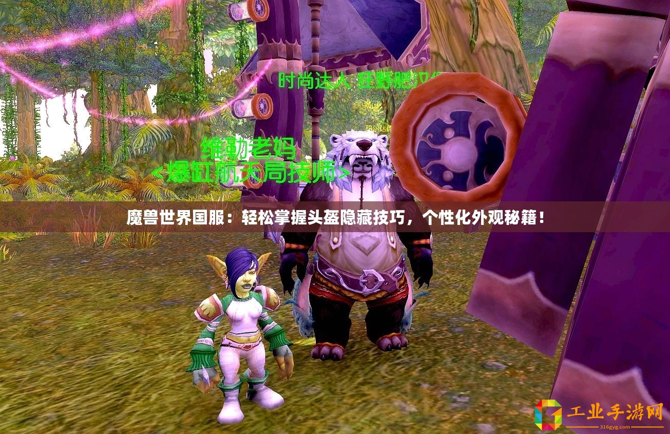 魔獸世界國服：輕松掌握頭盔隱藏技巧，個性化外觀秘籍！