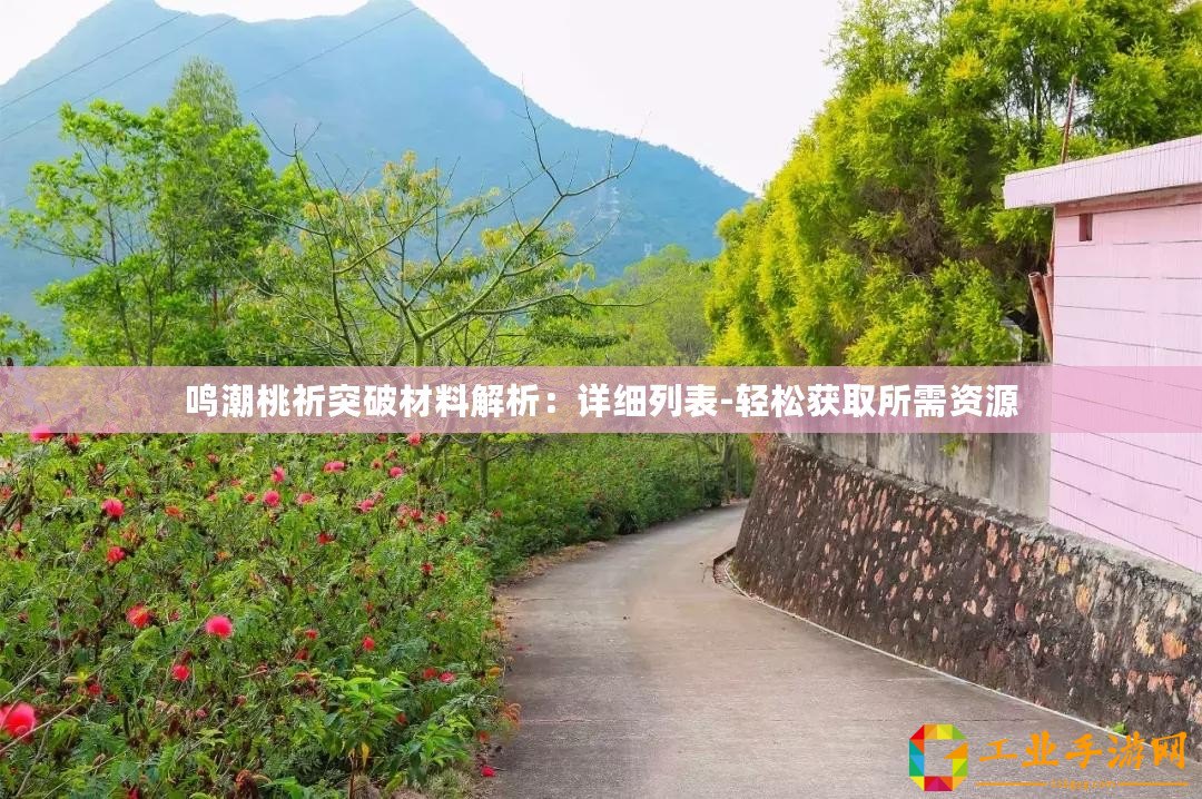鳴潮桃祈突破材料解析：詳細(xì)列表-輕松獲取所需資源