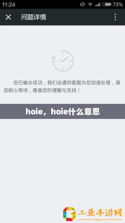 hoie，hoie什么意思