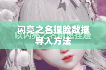 閃亮之名捏臉數據導入方法