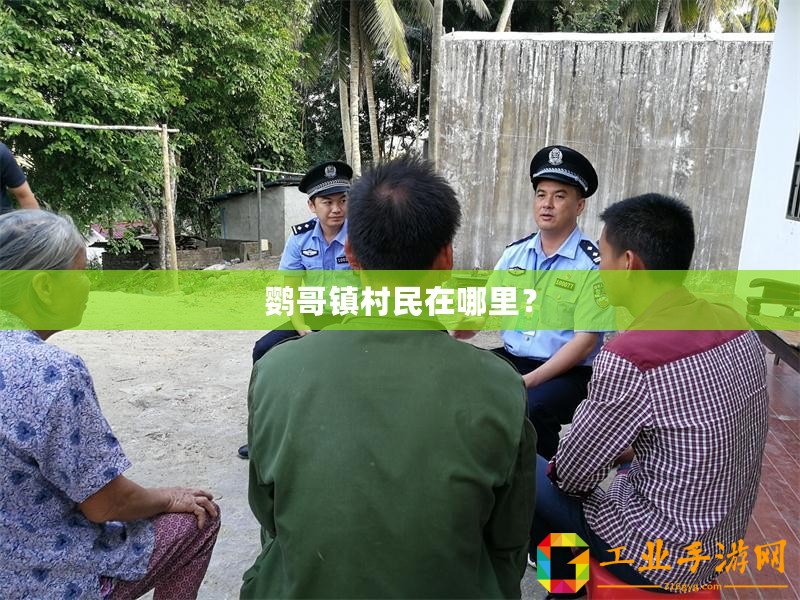 鸚哥鎮村民在哪里？