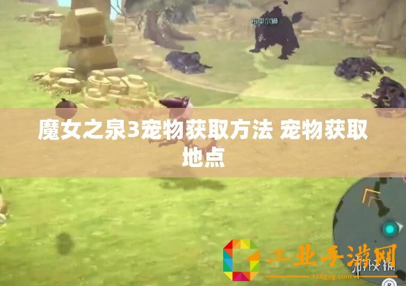 魔女之泉3寵物獲取方法 寵物獲取地點