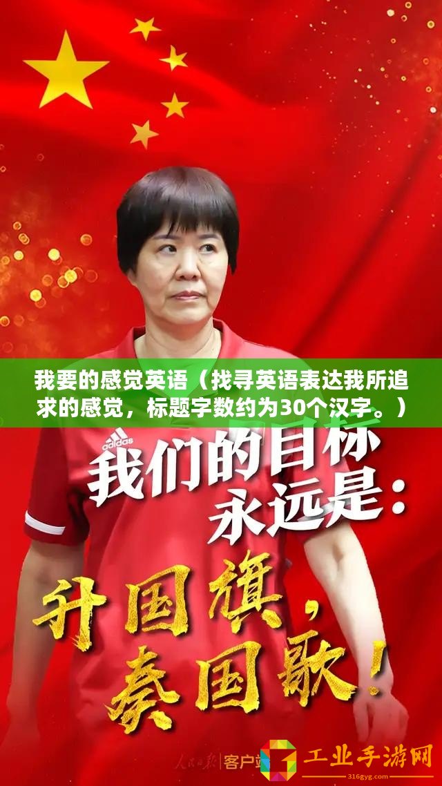 我要的感覺英語（找尋英語表達(dá)我所追求的感覺，標(biāo)題字?jǐn)?shù)約為30個漢字。）