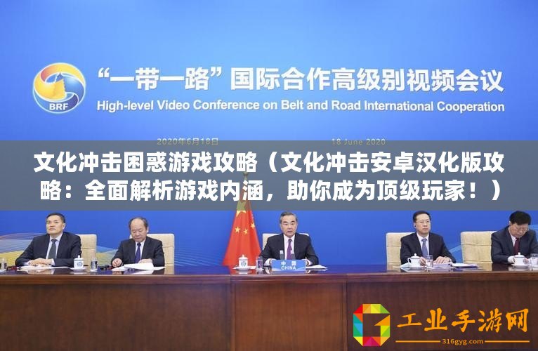 文化沖擊困惑游戲攻略（文化沖擊安卓漢化版攻略：全面解析游戲內涵，助你成為頂級玩家！）