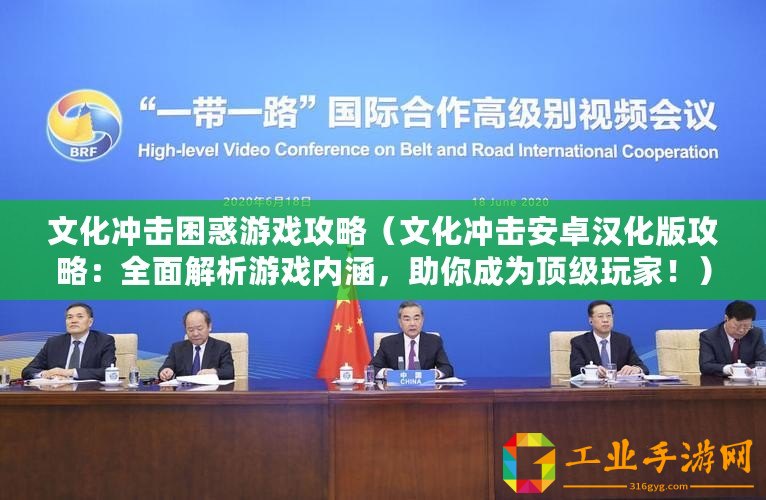 文化沖擊困惑游戲攻略（文化沖擊安卓漢化版攻略：全面解析游戲內涵，助你成為頂級玩家！）