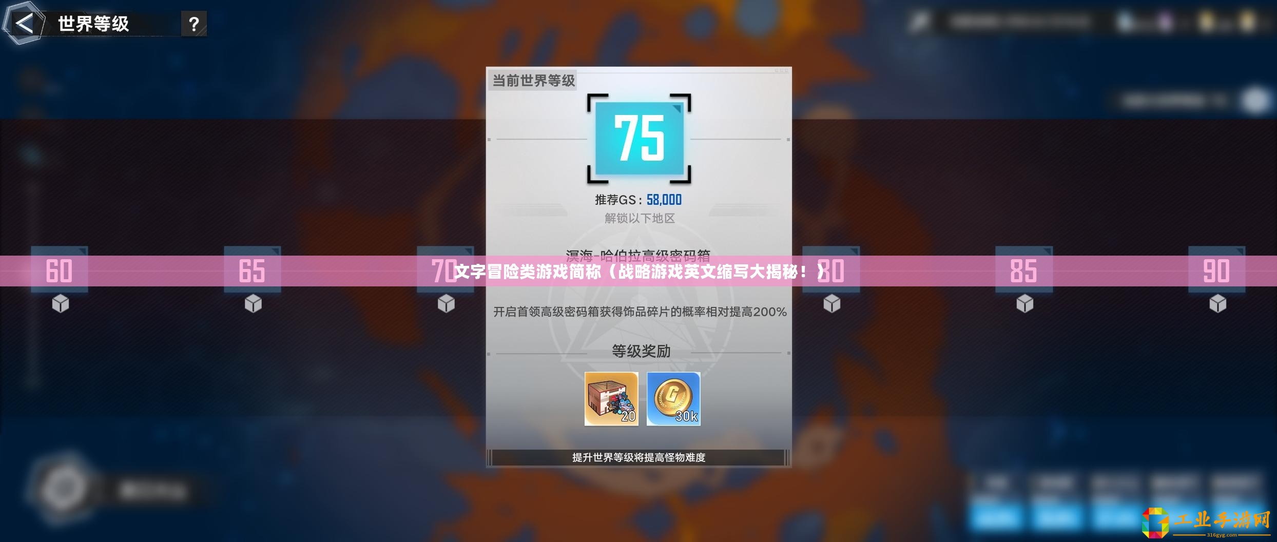 文字冒險類游戲簡稱（戰略游戲英文縮寫大揭秘！）