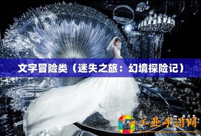 文字冒險(xiǎn)類(lèi)（迷失之旅：幻境探險(xiǎn)記）