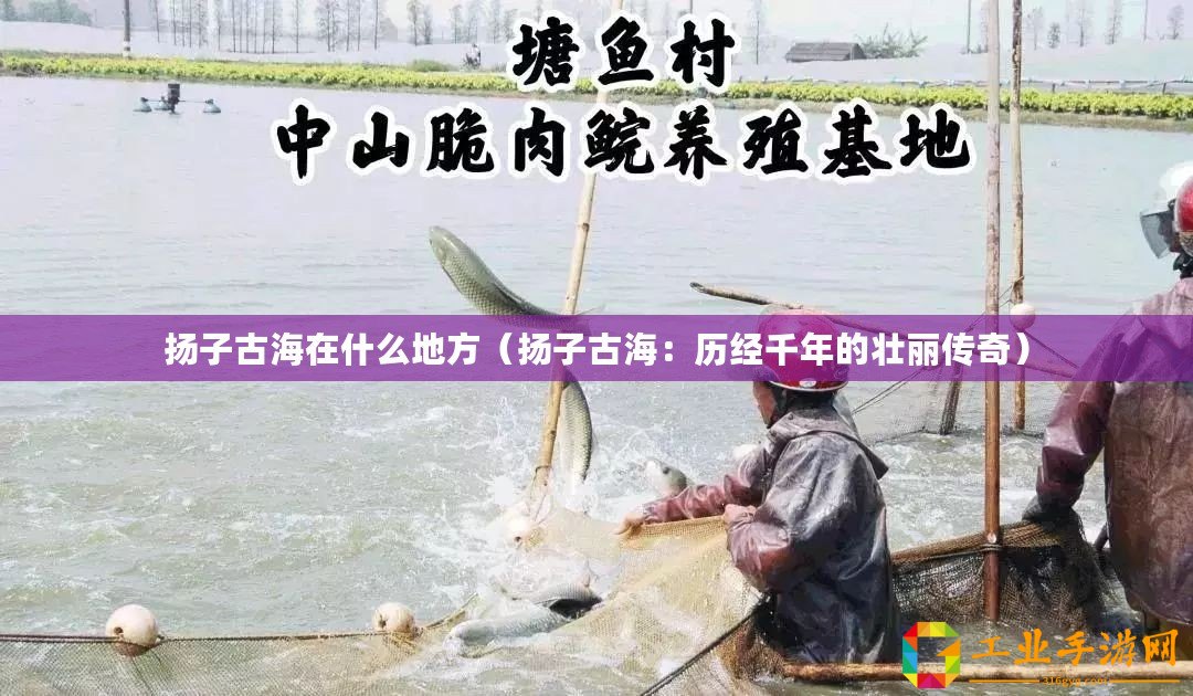 揚(yáng)子古海在什么地方（揚(yáng)子古海：歷經(jīng)千年的壯麗傳奇）