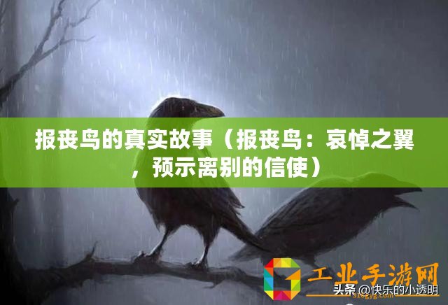 報喪鳥的真實故事（報喪鳥：哀悼之翼，預示離別的信使）
