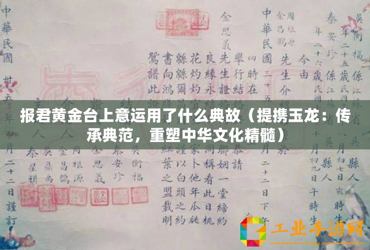 報君黃金臺上意運用了什么典故（提攜玉龍：傳承典范，重塑中華文化精髓）