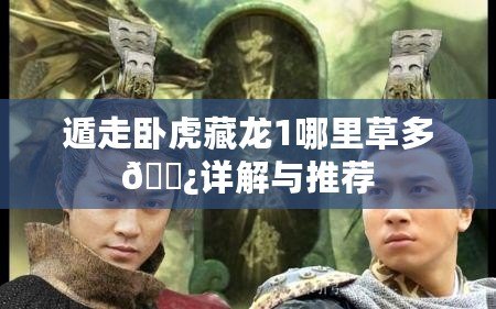 遁走臥虎藏龍1哪里草多??詳解與推薦
