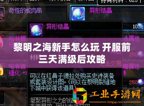黎明之海新手怎么玩 開服前三天滿級后攻略