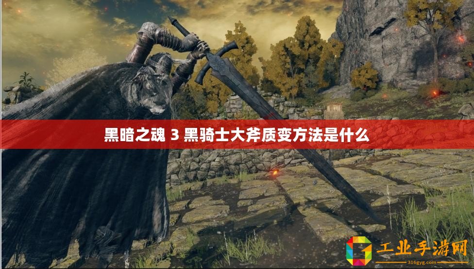 黑暗之魂 3 黑騎士大斧質(zhì)變方法是什么