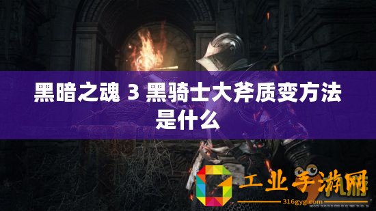 黑暗之魂 3 黑騎士大斧質(zhì)變方法是什么