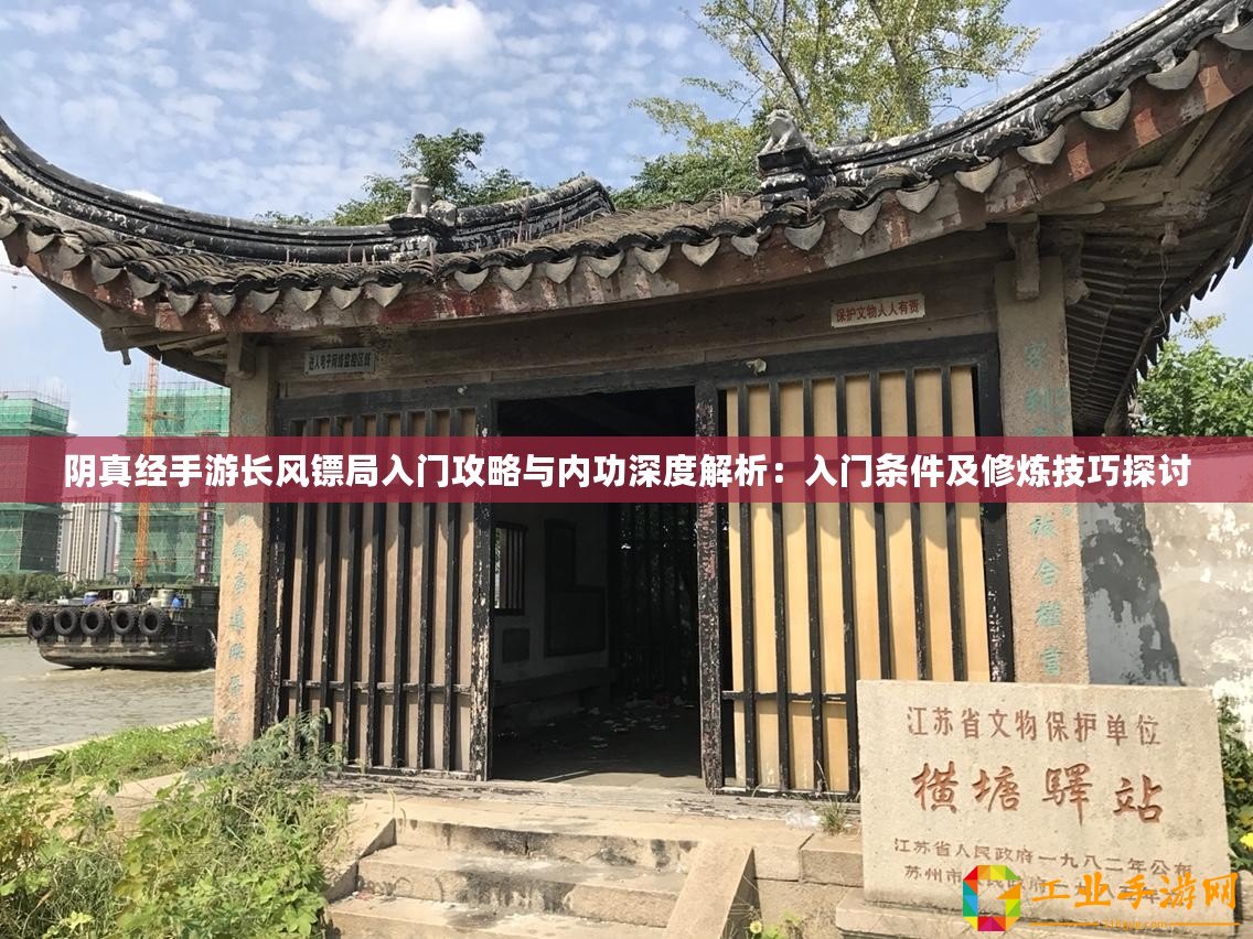 陰真經(jīng)手游長風鏢局入門攻略與內(nèi)功深度解析：入門條件及修煉技巧探討