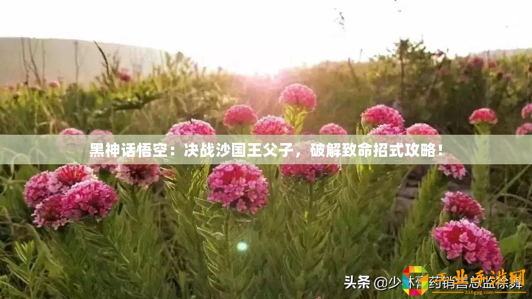 黑神話悟空：決戰沙國王父子，破解致命招式攻略！