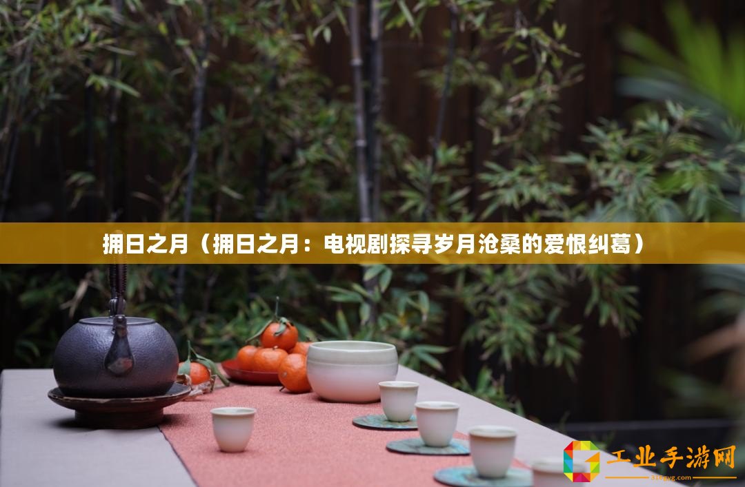 擁日之月（擁日之月：電視劇探尋歲月滄桑的愛恨糾葛）