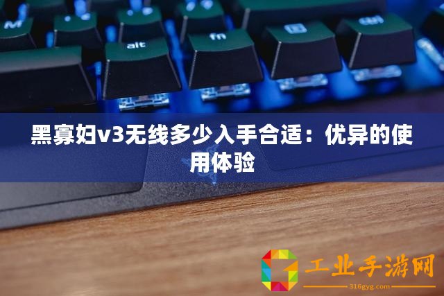 黑寡婦v3無線多少入手合適：優異的使用體驗