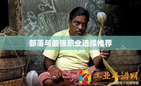 部落與最強職業選擇推薦