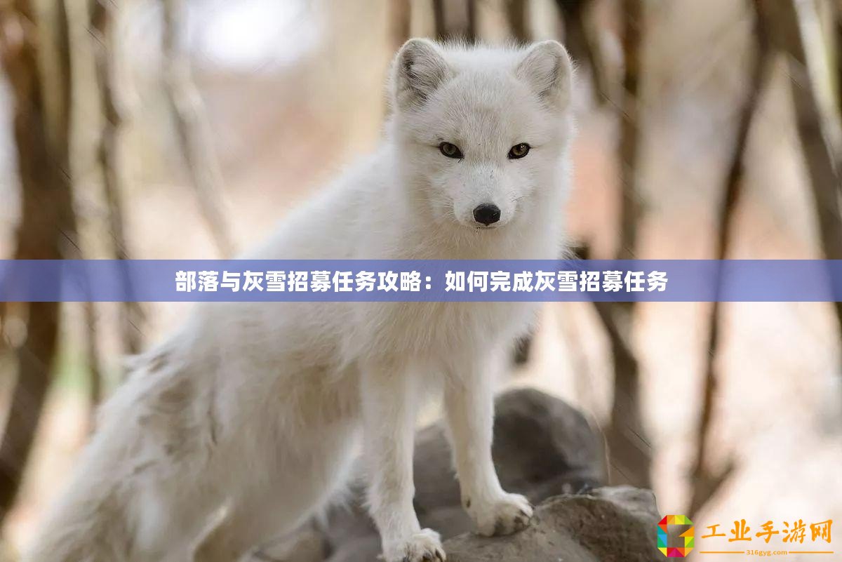 部落與灰雪招募任務(wù)攻略：如何完成灰雪招募任務(wù)
