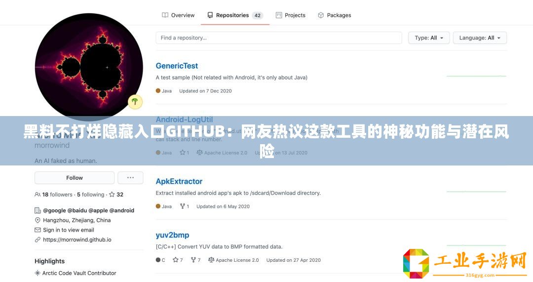 黑料不打烊隱藏入口GITHUB：網(wǎng)友熱議這款工具的神秘功能與潛在風(fēng)險