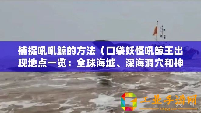 捕捉吼吼鯨的方法（口袋妖怪吼鯨王出現地點一覽：全球海域、深海洞穴和神秘的水下世界！）