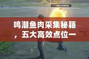 鳴潮魚肉采集秘籍，五大高效點(diǎn)位一網(wǎng)打盡??