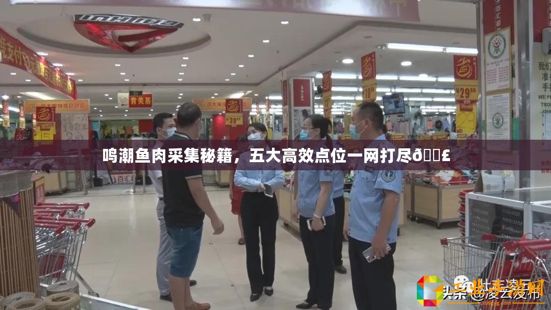 鳴潮魚肉采集秘籍，五大高效點位一網(wǎng)打盡??