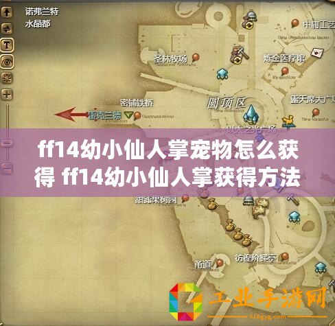 ff14幼小仙人掌寵物怎么獲得 ff14幼小仙人掌獲得方法