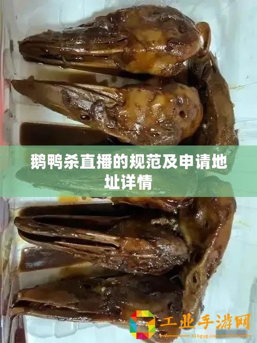 鵝鴨殺直播的規(guī)范及申請(qǐng)地址詳情