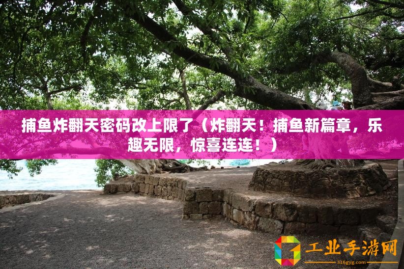 捕魚炸翻天密碼改上限了（炸翻天！捕魚新篇章，樂(lè)趣無(wú)限，驚喜連連！）