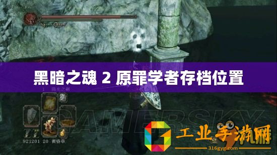 黑暗之魂 2 原罪學(xué)者存檔位置