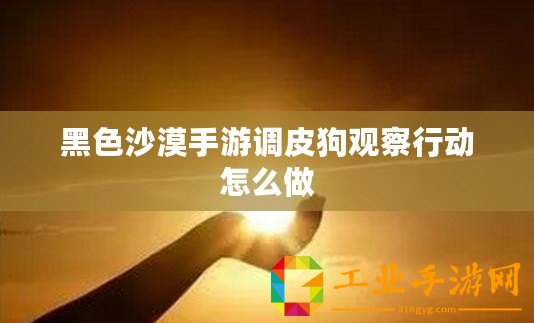黑色沙漠手游調皮狗觀察行動怎么做