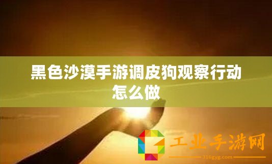 黑色沙漠手游調皮狗觀察行動怎么做