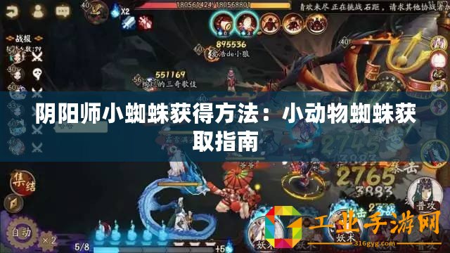 陰陽師小蜘蛛獲得方法：小動(dòng)物蜘蛛獲取指南