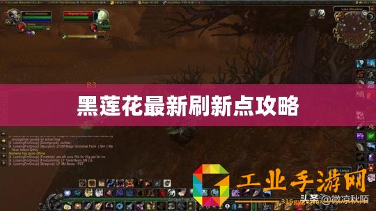 黑蓮花最新刷新點攻略
