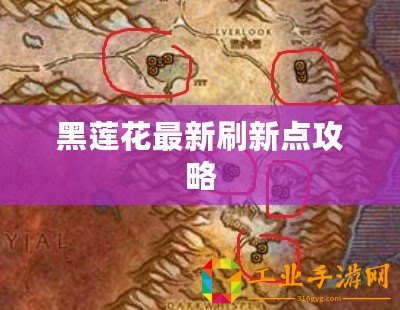 黑蓮花最新刷新點攻略