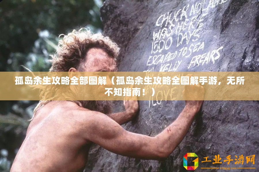 孤島余生攻略全部圖解（孤島余生攻略全圖解手游，無(wú)所不知指南！）