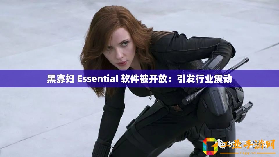 黑寡婦 Essential 軟件被開放：引發(fā)行業(yè)震動