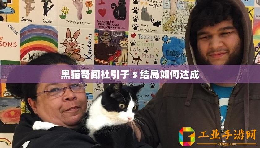 黑貓奇聞社引子 s 結(jié)局如何達(dá)成