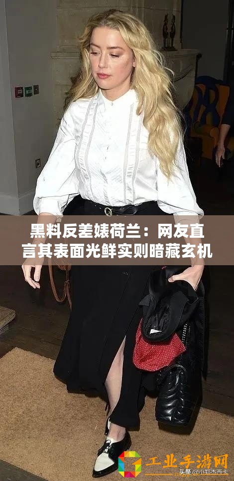 黑料反差婊荷蘭：網友直言其表面光鮮實則暗藏玄機，真相讓人震驚！