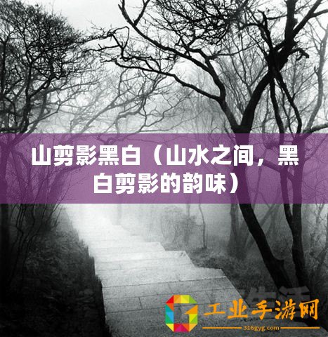 山剪影黑白（山水之間，黑白剪影的韻味）